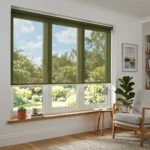 Olive Green sunscreen blinds Abu Dhabi for living room windows