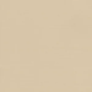 Sandy Beige Room-Dark