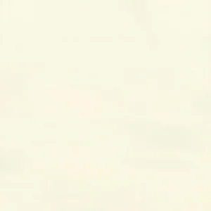 White Smart Curtain