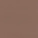 Brown Room-Dark Drape