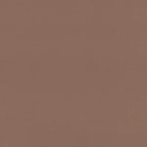 Brown Room-Dark Drape