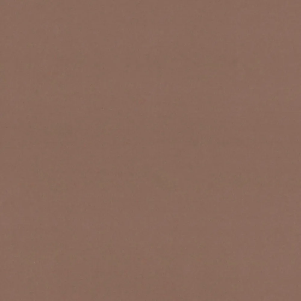 Brown Room-Dark Drape